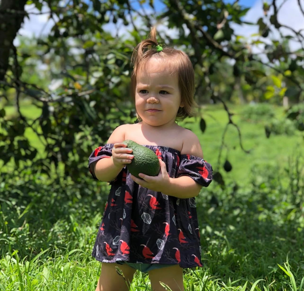 Iiwi off the shoulder top keiki - adult